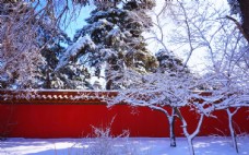 冬天故宫雪景图片