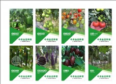 绿色蔬菜农产品图片