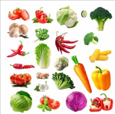 蔬菜有机蔬菜素材图片
