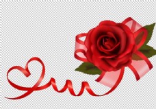 玫红色玫瑰玫瑰花彩带素材图片