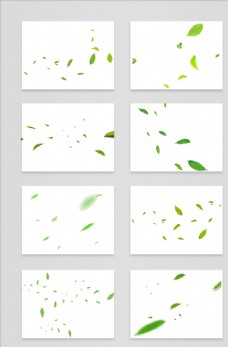 PSD素材绿叶叶子树叶素材图片