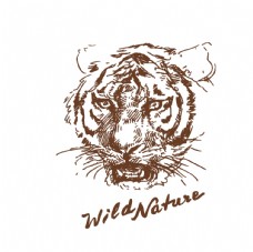 英文艺术字手绘野生动物老虎数码印花图片