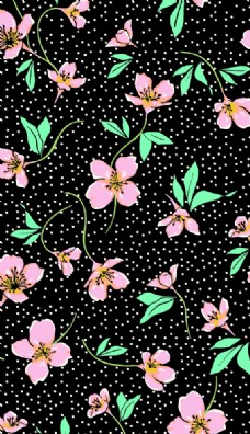 黑底花素材