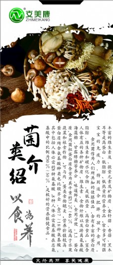 水墨中国风菌类介绍图片