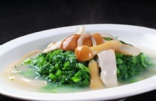 中华文化滑菌钵钵菜图片