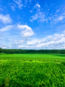 蓝天白云草地大自然风景摄影图片