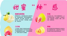 黄色背景超市异形水果海报柚子的区别图片