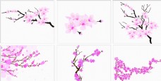 春季桃花图片