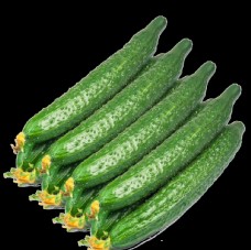 绿色蔬菜黄瓜免扣素材图片