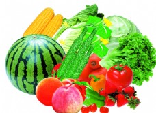 蔬菜营养水果蔬菜图片