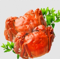 折扣海报螃蟹图片