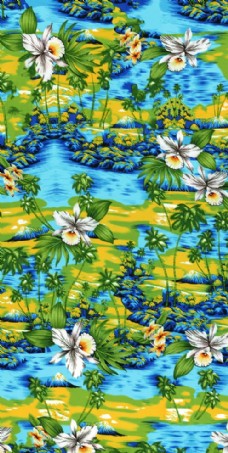 夏装热带椰树花图片