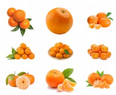 水果展板橘子图片