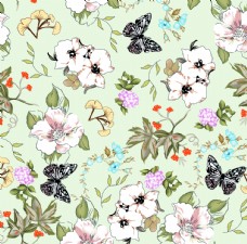 春季蝴蝶花图片