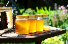 淘宝海报香甜营养的蜂蜜图片