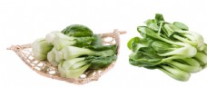绿色蔬菜青菜图片