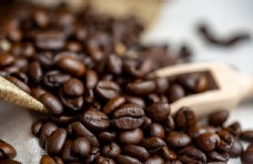 咖啡杯颗粒饱满味道香醇的咖啡豆图片