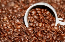 香醇咖啡香醇的咖啡豆图片