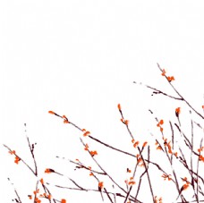梅花装饰树枝元素图片