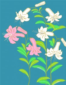 欧式花纹背景中式花纹图片