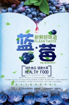 水果展板蓝莓海报图片