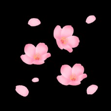 樱桃图片手绘春天飘扬花瓣花朵桃花樱花卡图片