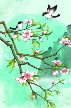 SPA插图梅花花朵小鸟插画背景海报素材图片