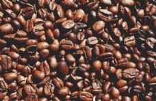 咖啡杯颗粒饱满味道香醇的咖啡豆图片