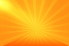 橙色花橙色光感背景图片