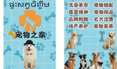 宠物狗宠物海报图片