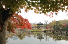 建筑风景韩国首尔景福宫建筑韩国风景图片