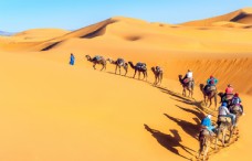 沙漠旅行的队伍图片