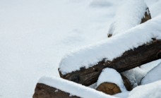 木柴雪盖木头图片