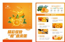 水彩画橙子宣传单页图片