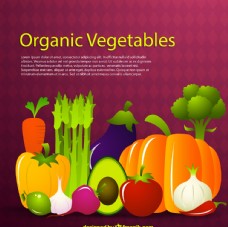 卡通蔬菜设计图片