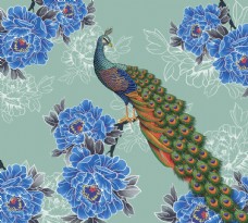 纸纹孔雀花朵花纹壁纸背景素材图片
