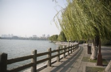 名片湖畔风景名胜公园大明湖图片