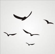 logo鸟图片