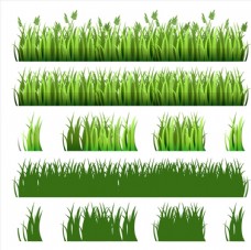 草地素材绿色草丛矢量图片