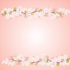 白色桃花枝背景图片