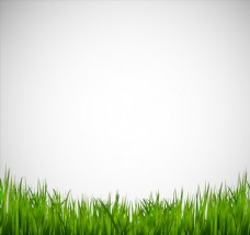 草地素材青葱草地背景矢量图片