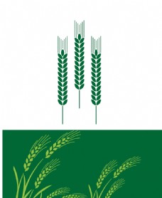绿背景矢量麦穗图片