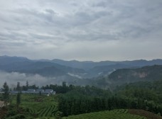 茶山云海图片