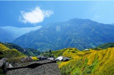 丽江园林蓝天白云下的高山梯田图片