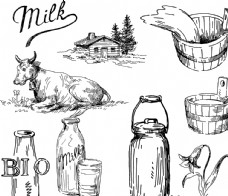 木桶牛奶线条图图片
