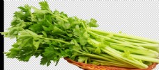 蔬菜芹菜图片