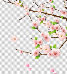 海景桃花花枝装饰背景海报素材图片