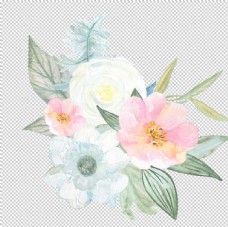 SPA插图北欧小清新水彩花朵插画图片