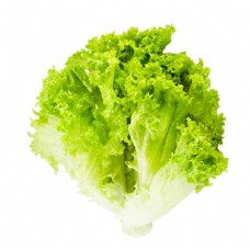 蔬菜生菜图片