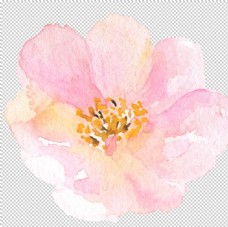 SPA插图北欧小清新水彩花朵插画图片